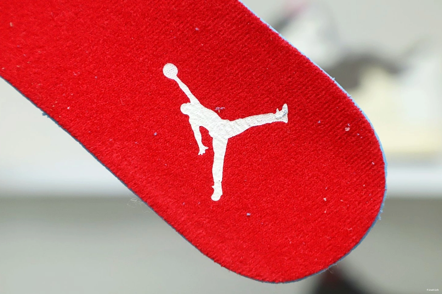 RETRO AIR 'WILD GS 4 JORDAN THINGS' 0225